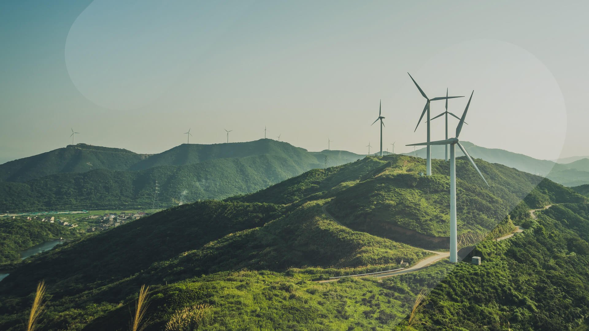 Climate Action Image